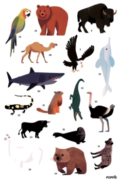 Poster Géant 67 Stickers Animaux Du Monde POPPIK -Bébés Produits Magasin 19rovmwd