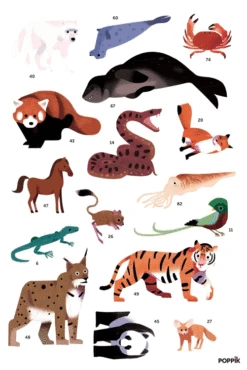 Poster Géant 67 Stickers Animaux Du Monde POPPIK -Bébés Produits Magasin 25msrbnc