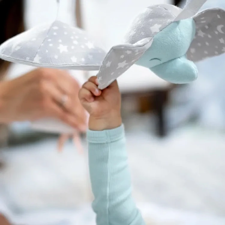 Aden + Anais Tapis D'éveil Avec Arches Rising Star ADEN+ANAIS 7 Aden + Anais Tapis D'éveil Avec Arches Rising Star ADEN+ANAIS – Image 5