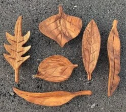 Feuilles En Bois - Set De 6 PAPOOSE TOYS -Bébés Produits Magasin FEUILLES EN BOIS PAPOOSE