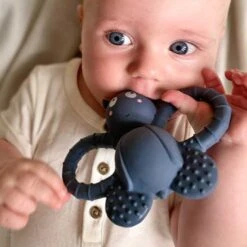 Jouet De Dentition En Caoutchouc Naturel Felix La Mouche FILIBABBA -Bébés Produits Magasin FI PT037SITE4