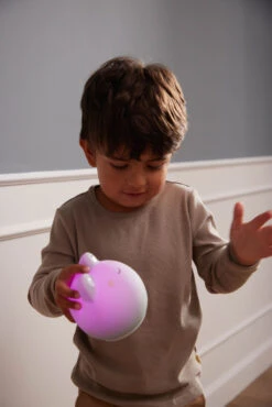 Veilleuse Nomade Grenouille FILIBABBA 12 Veilleuse Nomade Grenouille FILIBABBA -Bébés Produits Magasin FILIBABBA FI 01818S5