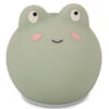 Veilleuse Nomade Grenouille FILIBABBA 2 Veilleuse Nomade Grenouille FILIBABBA -Bébés Produits Magasin FILIBABBA FI 01818V1