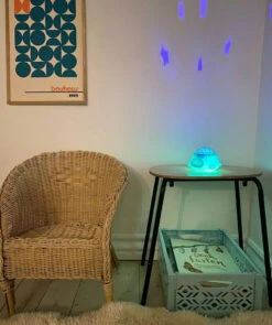 Veilleuse Musicale Avec Projection De Lumière Tortue FILIBABBA -Bébés Produits Magasin FILIBABBA FI 01821S3