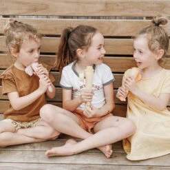 Moules à Glaces En Silicone HAAKAA -Bébés Produits Magasin HAAKAA MouleGlaceS3