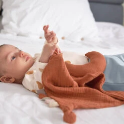 Doudou Lange Lune LASSIG 11 Doudou Lange Lune LASSIG -Bébés Produits Magasin LASSIG 1313028621S4