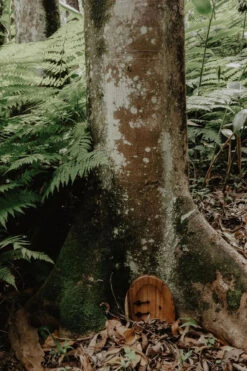 Porte En Bois De La Petite Souris PAPOOSE TOYS 14 Porte En Bois De La Petite Souris PAPOOSE TOYS -Bébés Produits Magasin PAPOOSE WP166 S4