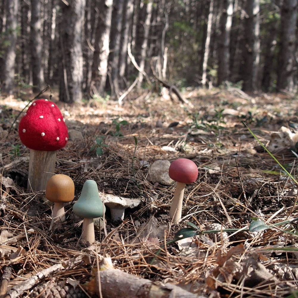 Champignons En Bois Pastel - Set De 7 PAPOOSE TOYS 8 Champignons En Bois Pastel - Set De 7 PAPOOSE TOYS – Image 6