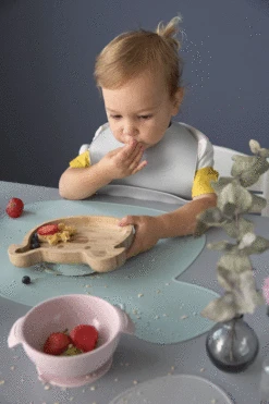 Bol Ventousé En Silicone Rose LASSIG -Bébés Produits Magasin SILICONE7