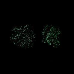 Poster Géant 640 Stickers Phosphorescents Le Ciel POPPIK 14 Poster Géant 640 Stickers Phosphorescents Le Ciel POPPIK -Bébés Produits Magasin amixtqae