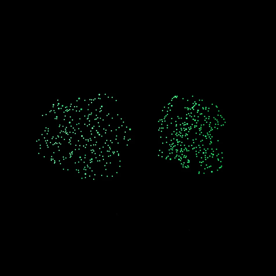 Poster Géant 640 Stickers Phosphorescents Le Ciel POPPIK 8 Poster Géant 640 Stickers Phosphorescents Le Ciel POPPIK – Image 6