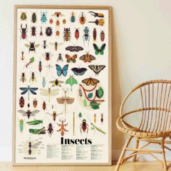 Poster Géant 44 Stickers Insectes POPPIK