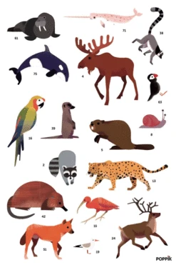 Poster Géant 67 Stickers Animaux Du Monde POPPIK -Bébés Produits Magasin kpgsq0a1