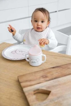 Lot De 5 Bavoirs En éponge Imperméable 3-18 Mois Souris LASSIG -Bébés Produits Magasin lassig1311002725site4