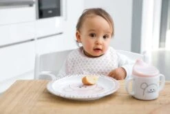 Lot De 5 Bavoirs En éponge Imperméable 3-18 Mois Souris LASSIG -Bébés Produits Magasin lassig1311002725site5