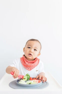 Assiette Antidérapante MINI Mat GRIS EZPZ -Bébés Produits Magasin minimatwithkid19