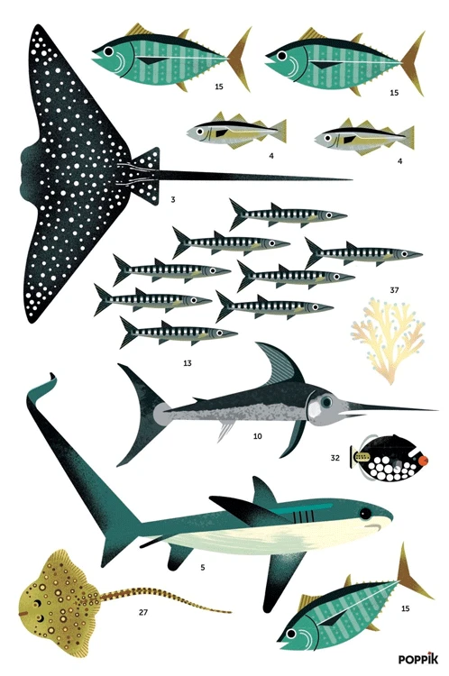 Poster Géant 59 Stickers Océan POPPIK 7 Poster Géant 59 Stickers Océan POPPIK – Image 5