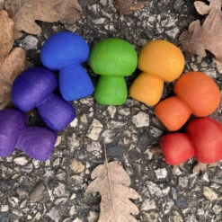 Mini Champignons En Bois Rainbow - Set De 7 PAPOOSE TOYS -Bébés Produits Magasin papoose wp656 s2