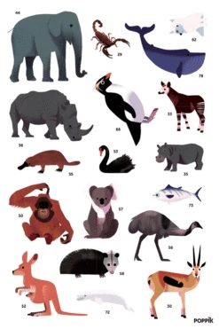 Poster Géant 67 Stickers Animaux Du Monde POPPIK -Bébés Produits Magasin qbo9q52y