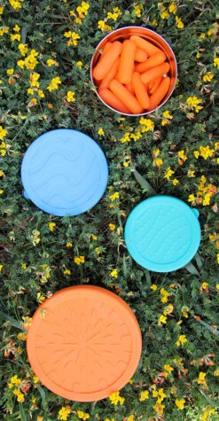 Lunch Box Inox Seal Cup Trio ECOLUNCHBOX 9 Lunch Box Inox Seal Cup Trio ECOLUNCHBOX -Bébés Produits Magasin v2 Blue Water Bento Trio Ki