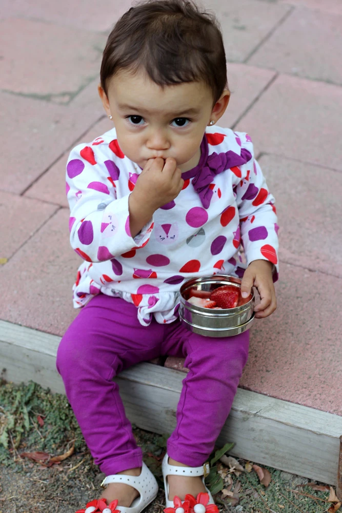 Lunch Pod Inox Eco Dipper ECOLUNCHBOX 6 Lunch Pod Inox Eco Dipper ECOLUNCHBOX – Image 4